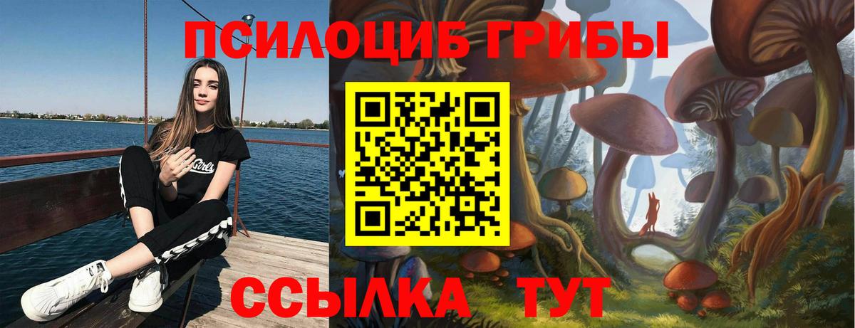 Чехов  Псилоцибиновые грибы прущие грибы  Вход с VPN  Псилоцибиновые грибы Psilocybine cubensis 