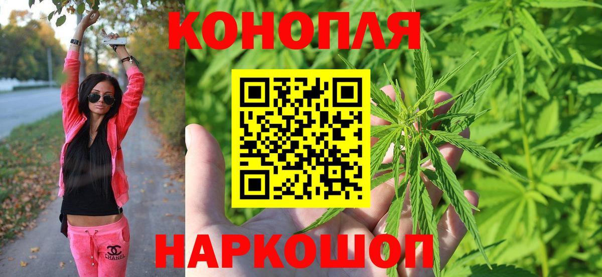 Каннабис конопля Чехов
